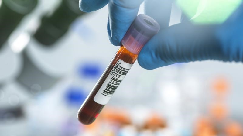 WhatsApp Image 2025-05-29 at 8.30.25 AM