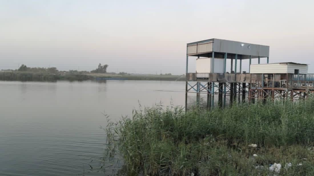 download - 2025-05-30T084025.326