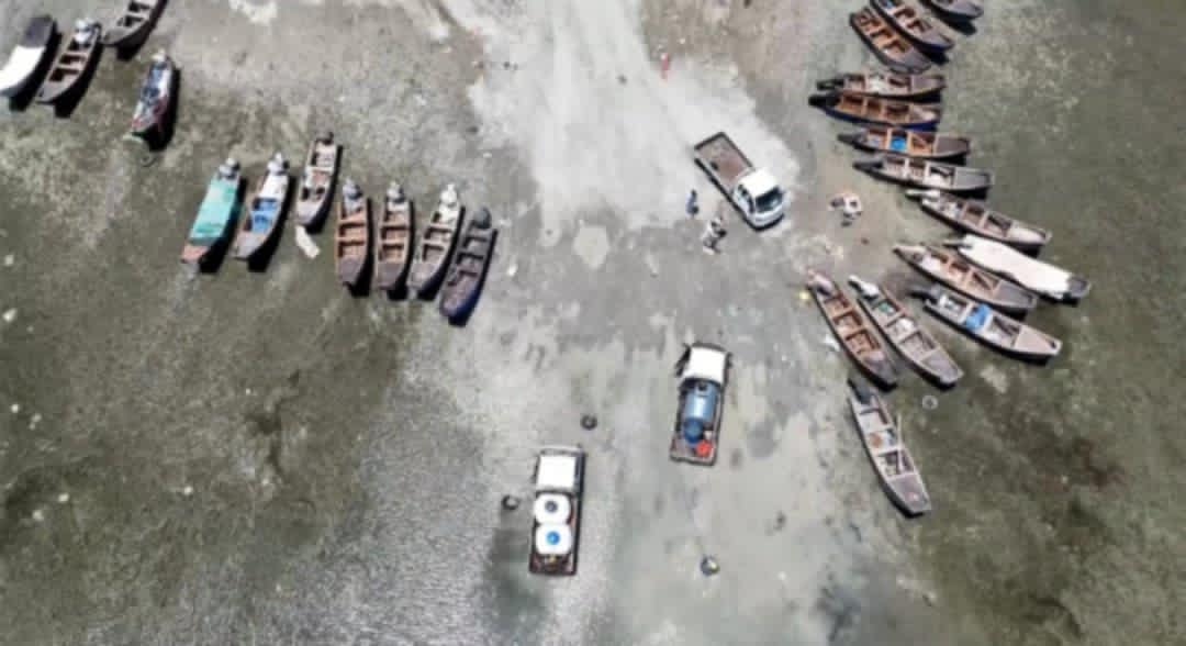 download - 2025-05-30T091457.408