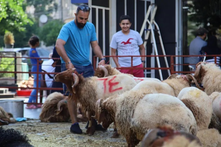 1ce2f961-1933-40fb-a00e-aa628ed8c6b7