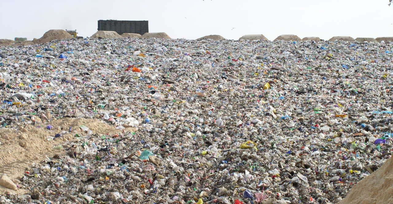 WhatsApp Image 2025-06-28 at 6.51.09 AM