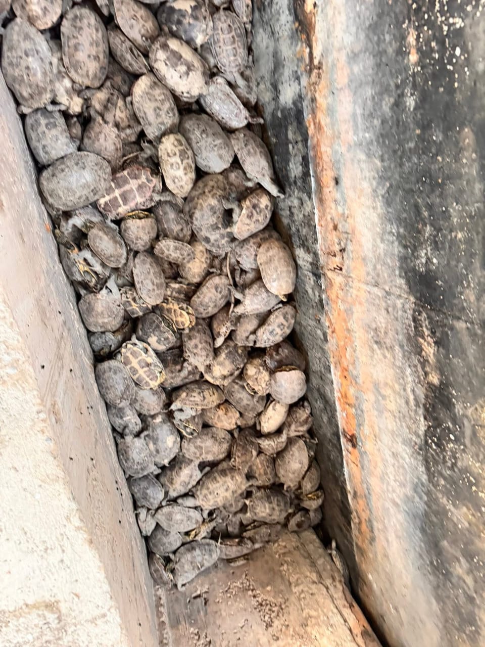 WhatsApp Image 2025-06-29 at 8.11.29 AM