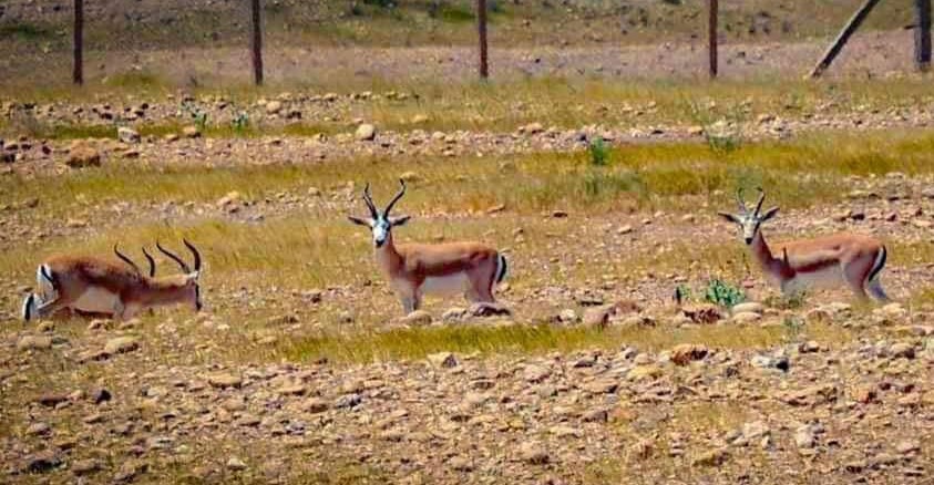 c24c489d-0d36-4994-9fc1-d433dcb16e40