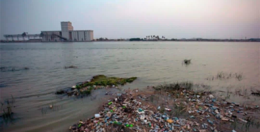 download - 2025-06-02T112121.701