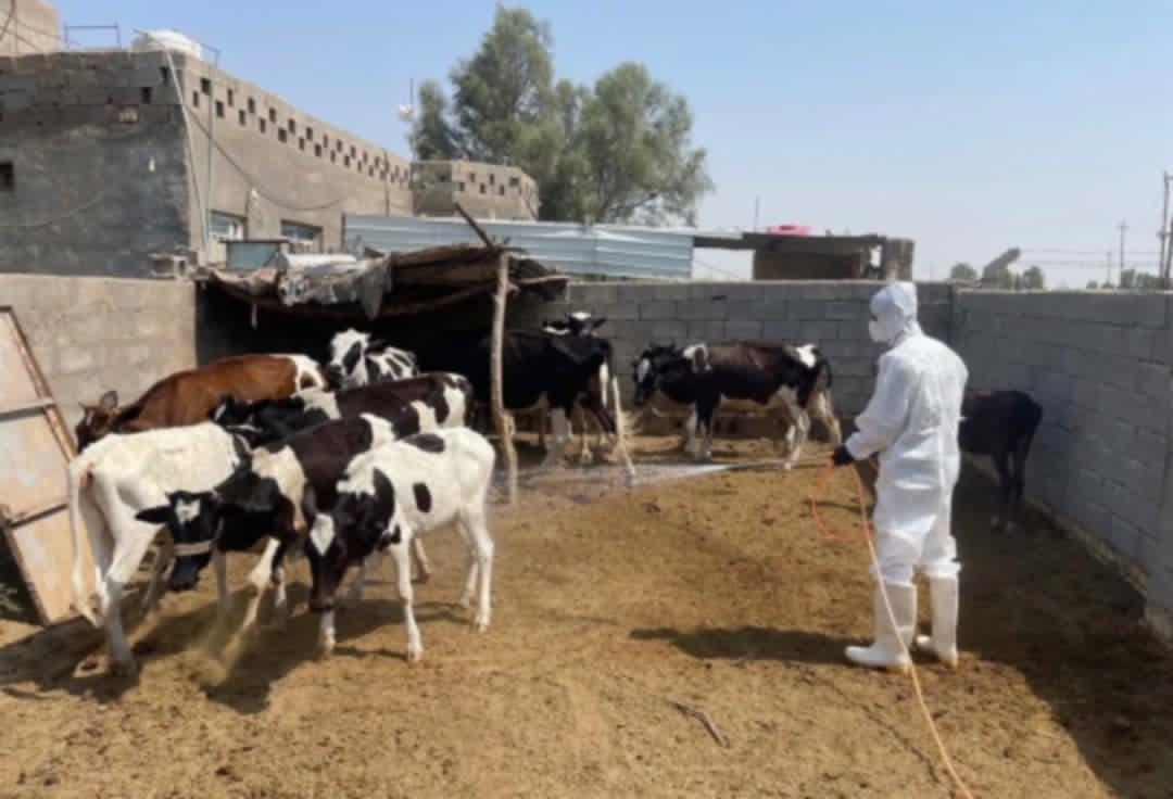 download - 2025-06-17T123113.982