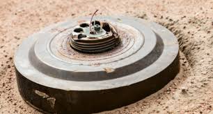 download - 2025-06-28T120516.345