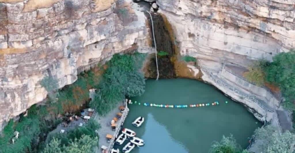 download - 2025-06-29T091234.146