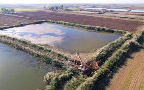 download - 2025-06-29T130511.684