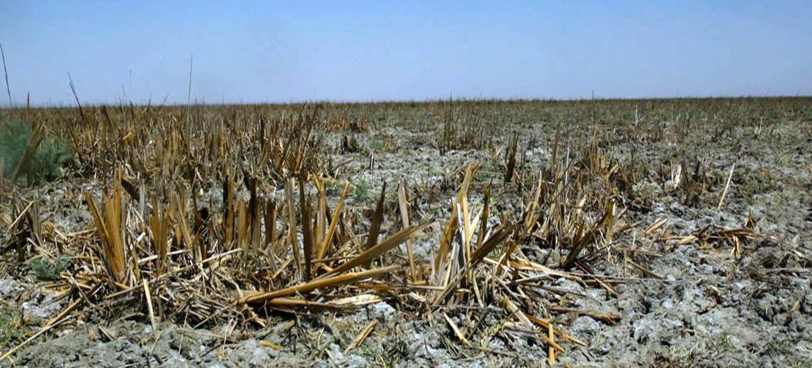 image1170x530cropped