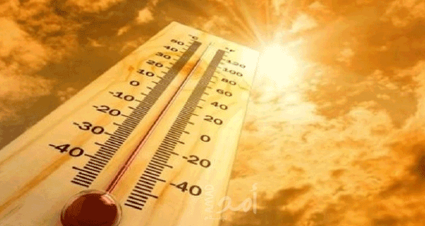 Untitled-1-4-660x330-1-620x330