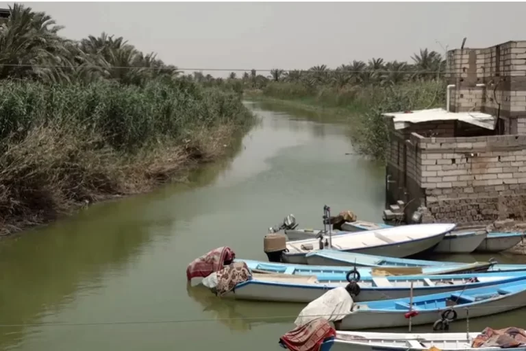 البصرة