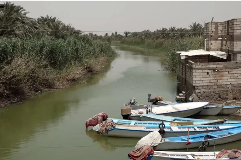 البصرة