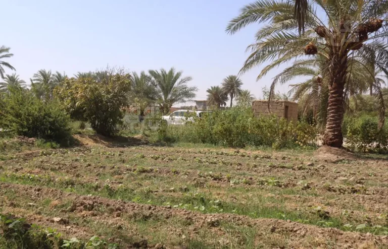 1759764194328