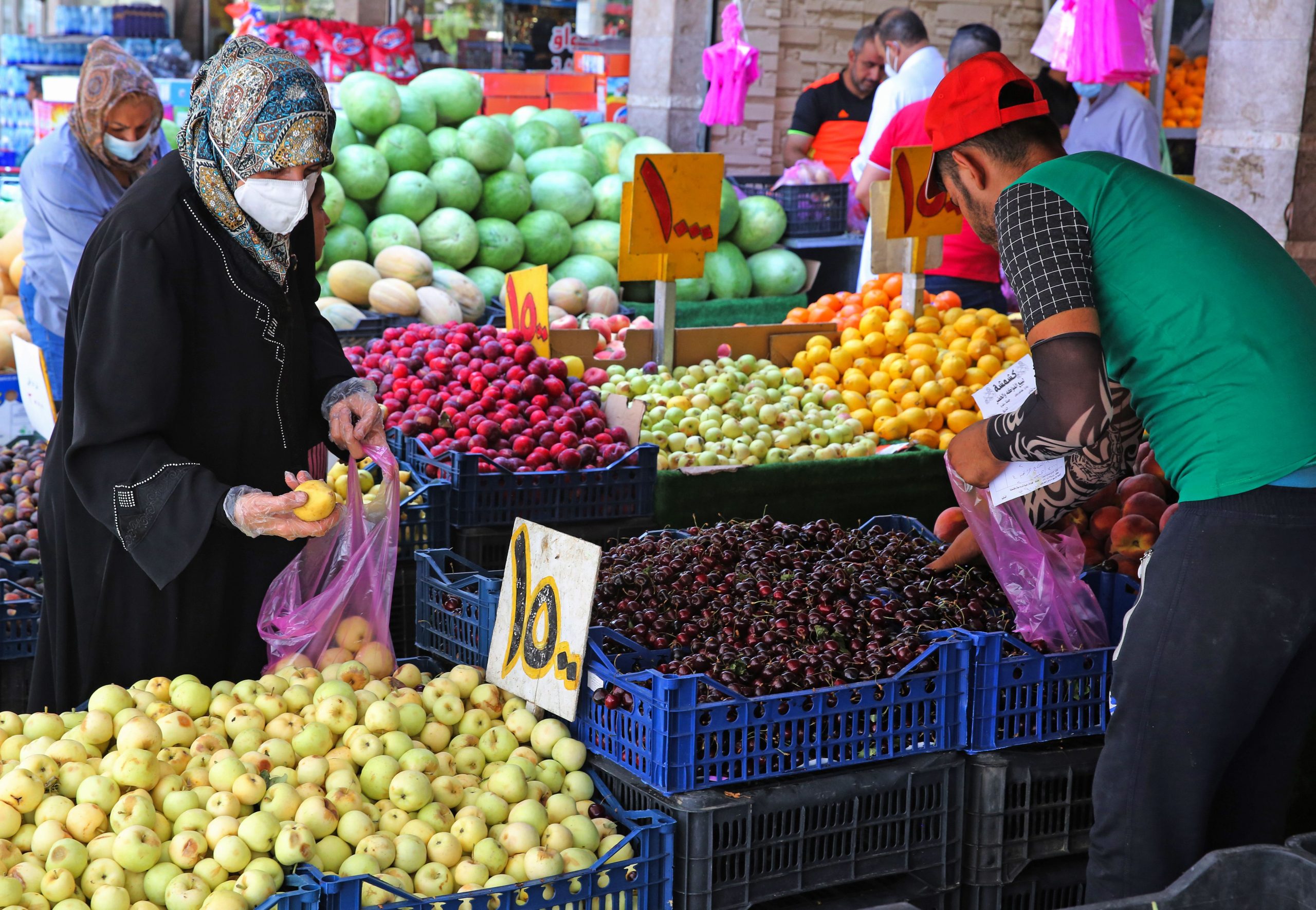 IRAQ-HEALTH-VIRUS-AGRICULTURE