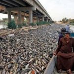 69dcc6ca4c59b70cc96ab597