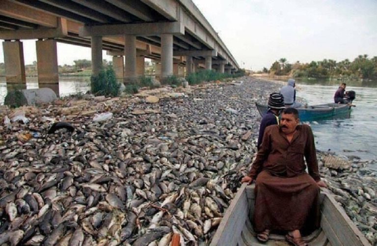 69dcc6ca4c59b70cc96ab597