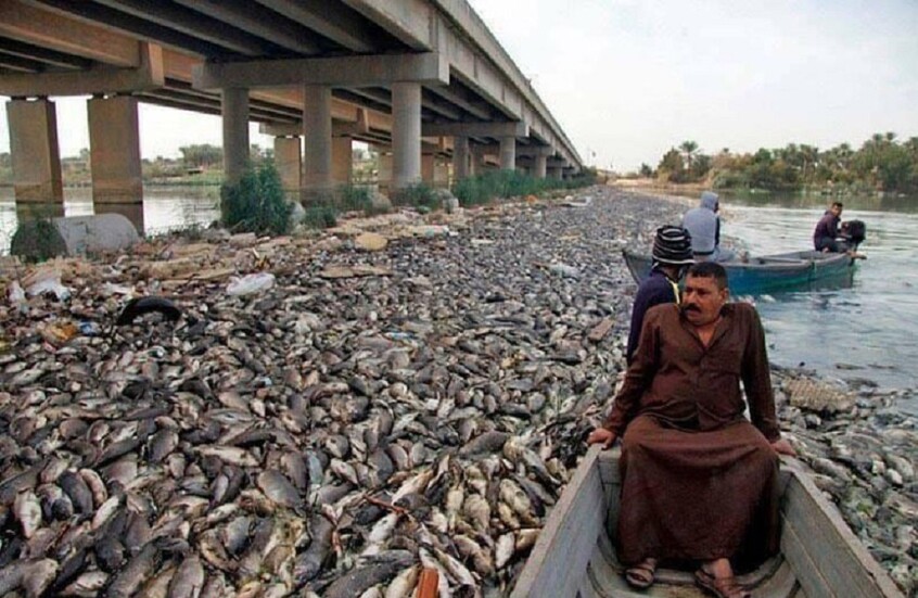 69dcc6ca4c59b70cc96ab597