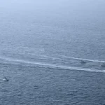 qz8i2H54Lf_1778706416