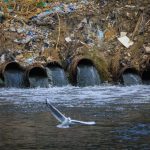 Pollution threats life in Tigris River of Iraq