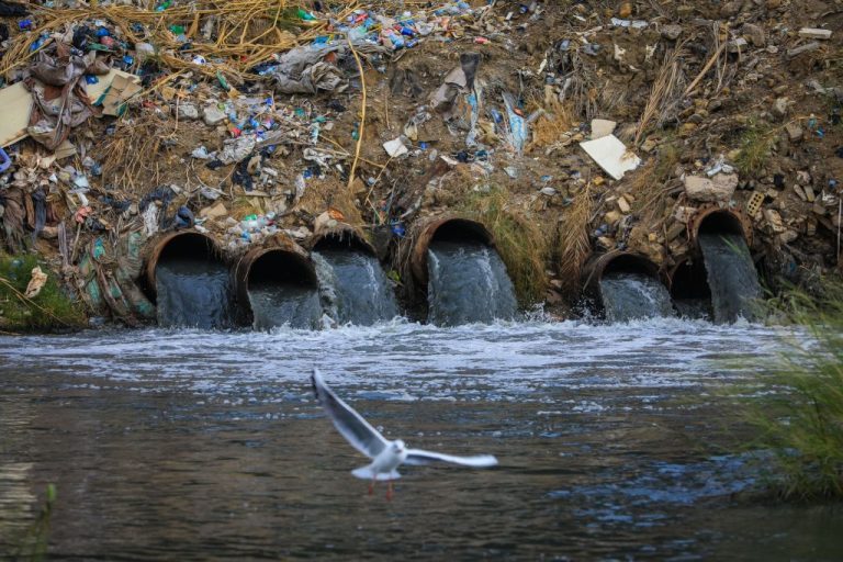 Pollution threats life in Tigris River of Iraq