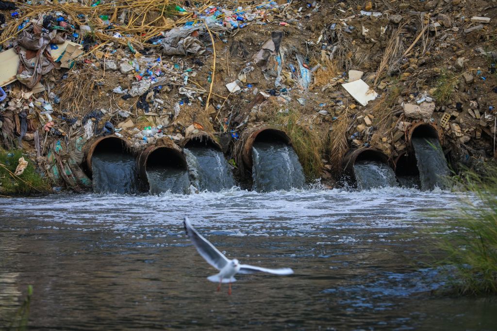 Pollution threats life in Tigris River of Iraq