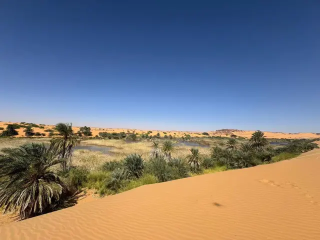 تصحر
